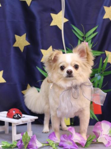 20230713らいすくん